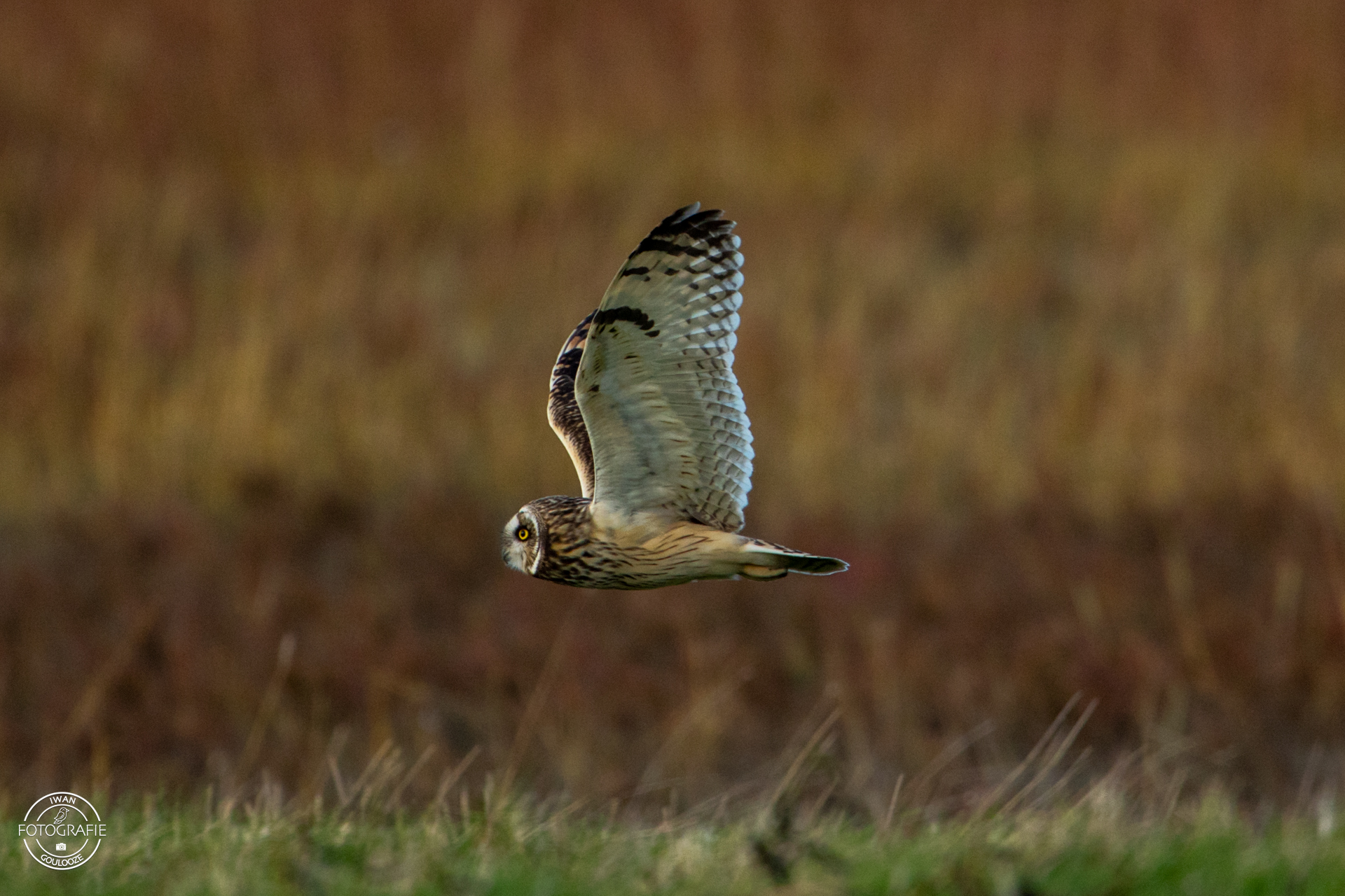 16 oktober 2022 170234 1R2A3870